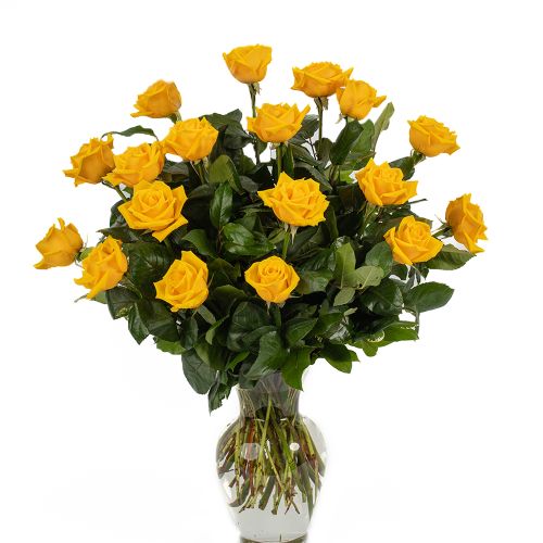 18 Yellow Roses 