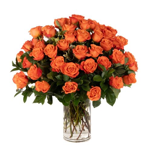 Four Dozen Orange Roses