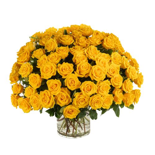 75 Yellow Roses