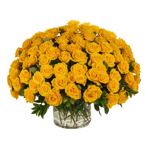 100 Yellow Roses