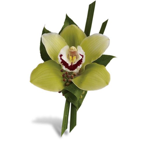 Green Orchid Boutonniere