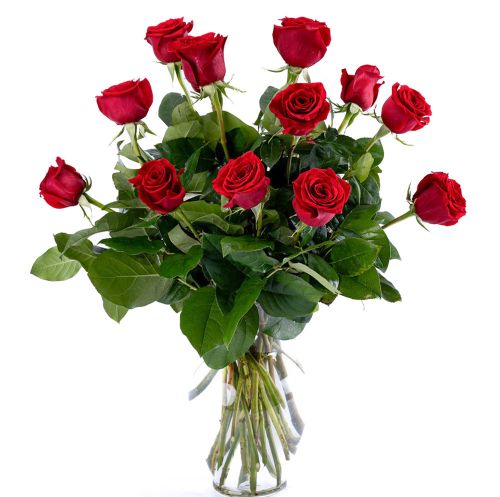 One Dozen Red Roses