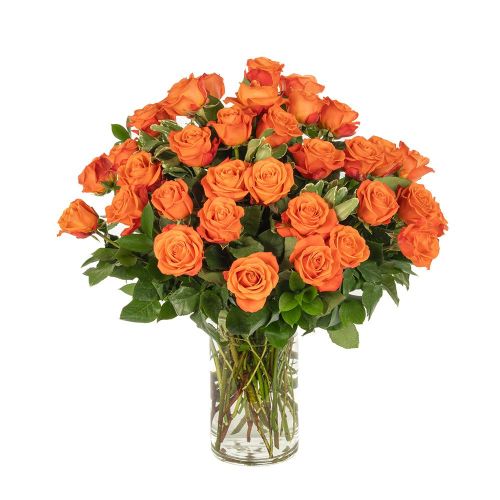 Double the Dozens 18 = 36 Orange Roses
