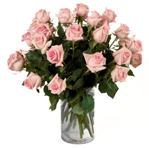 Double the Dozens 18 = 36 Soft Pink Roses