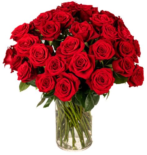 Three Dozen Red Roses 