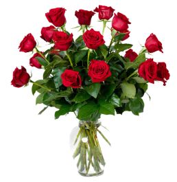 18 Red Roses Arranged Beautifully