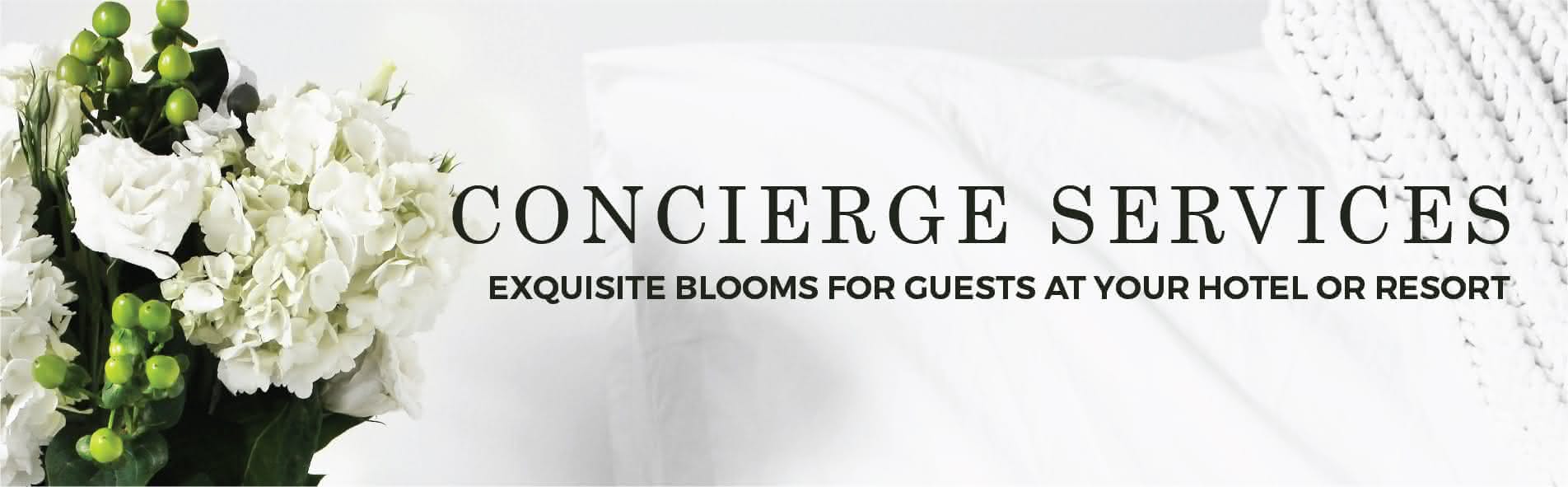 Concierge Services